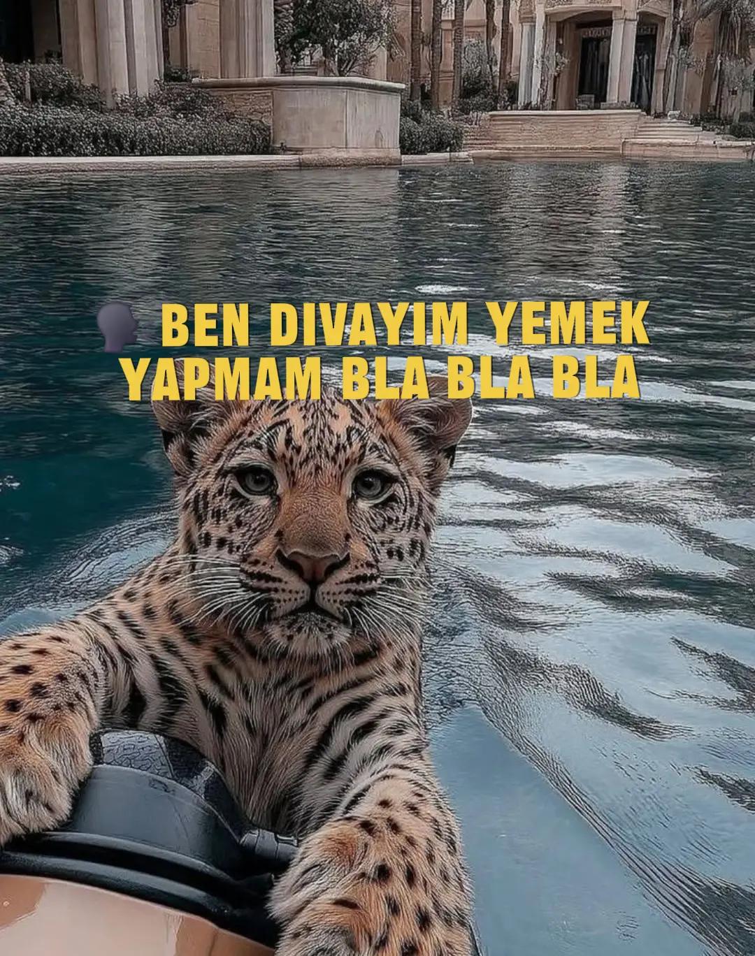 @Ege!😖