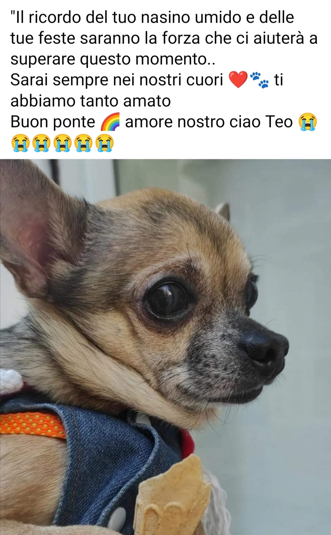 @Francesca Colella