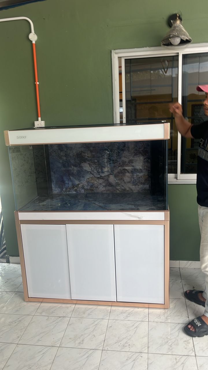 @Pearl Aquatics