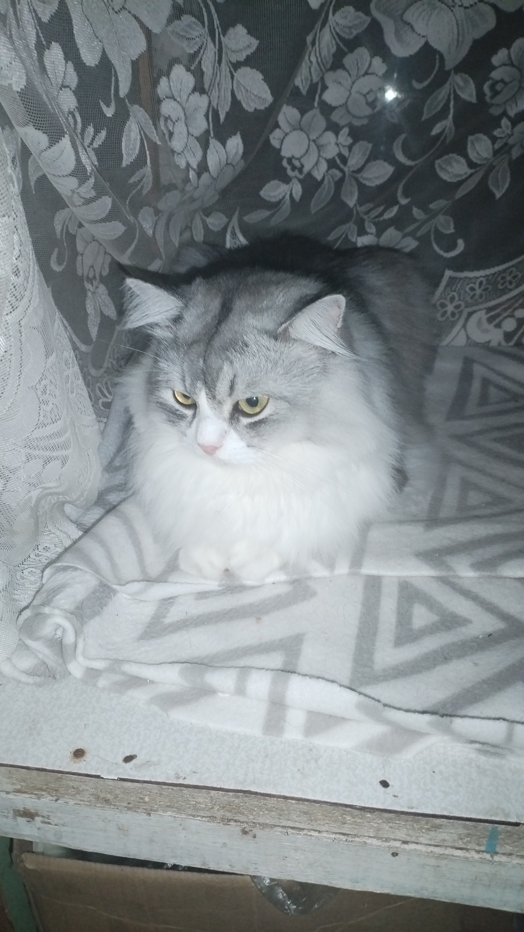 @((АНЮТА71))ТУЛА