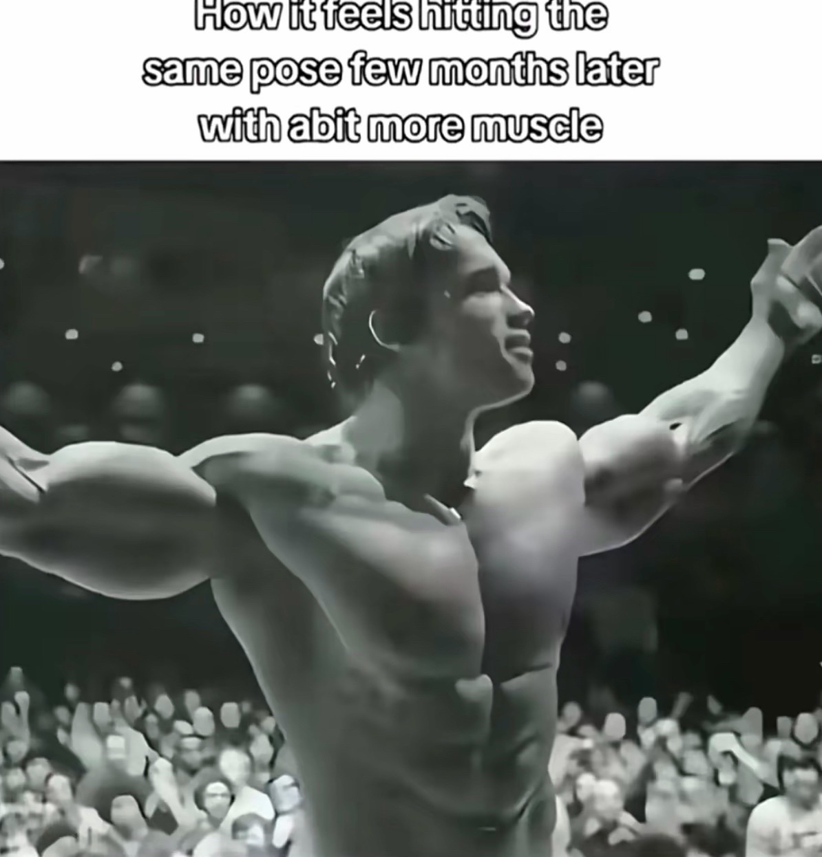 @marco.gym