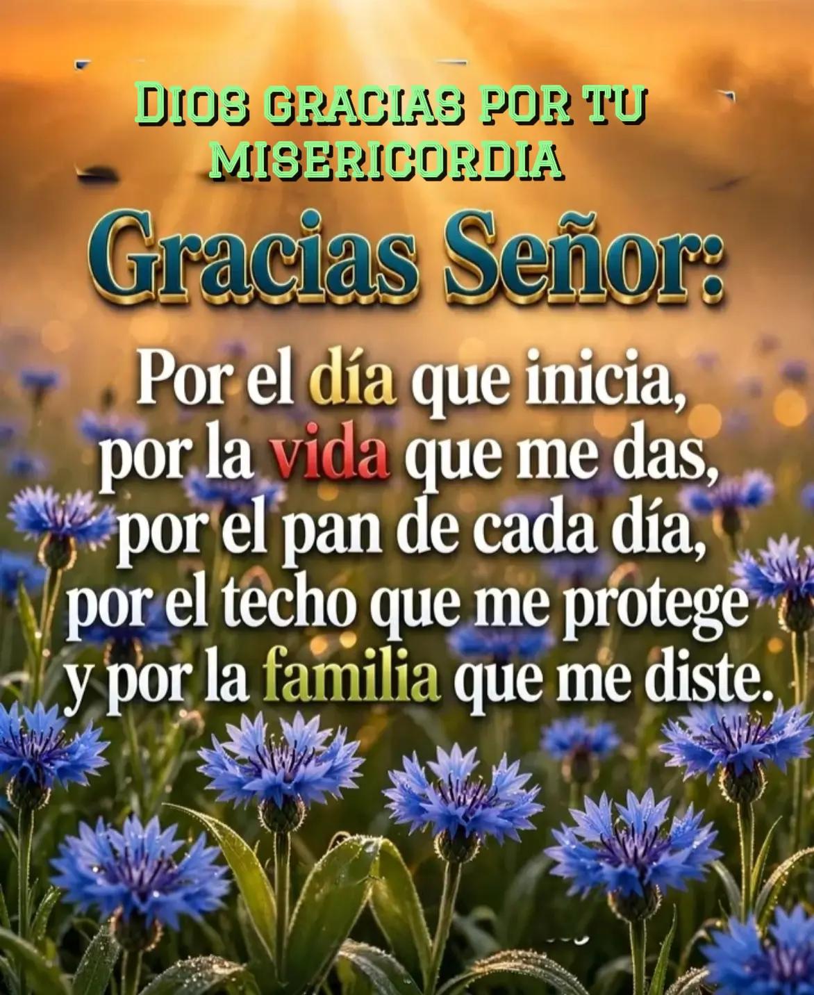 @Elisa🦋 🌻 ✨