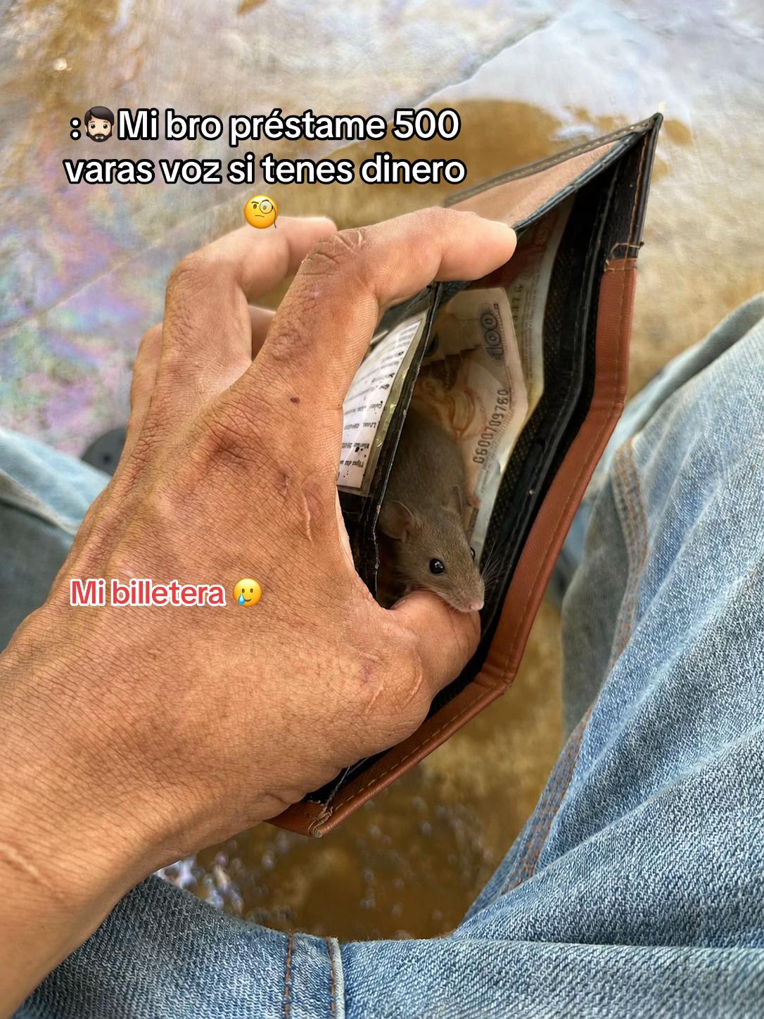 @Estoreña 👨🏻🏭💙