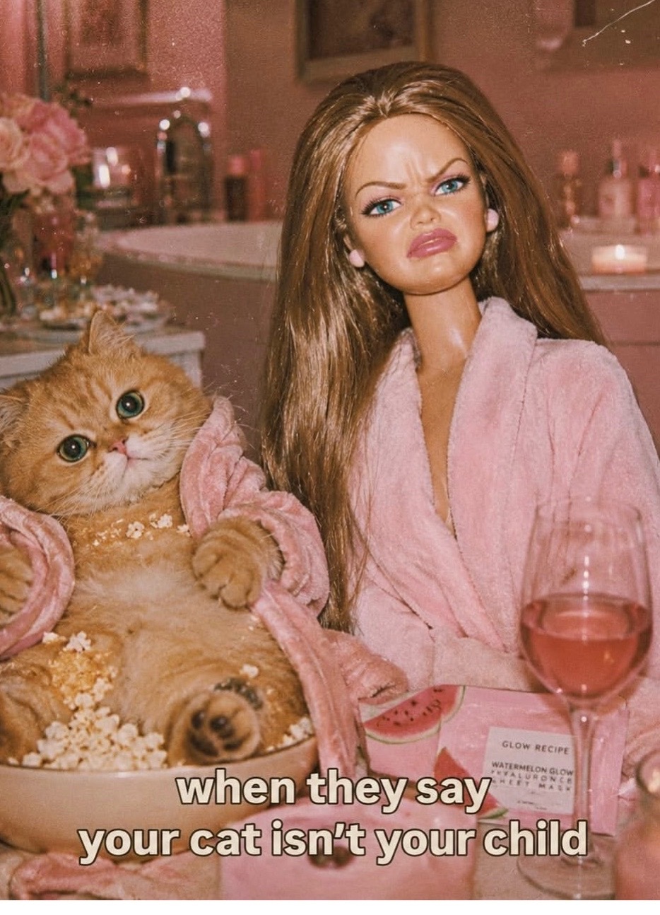 @LoLa🐈⬛💋