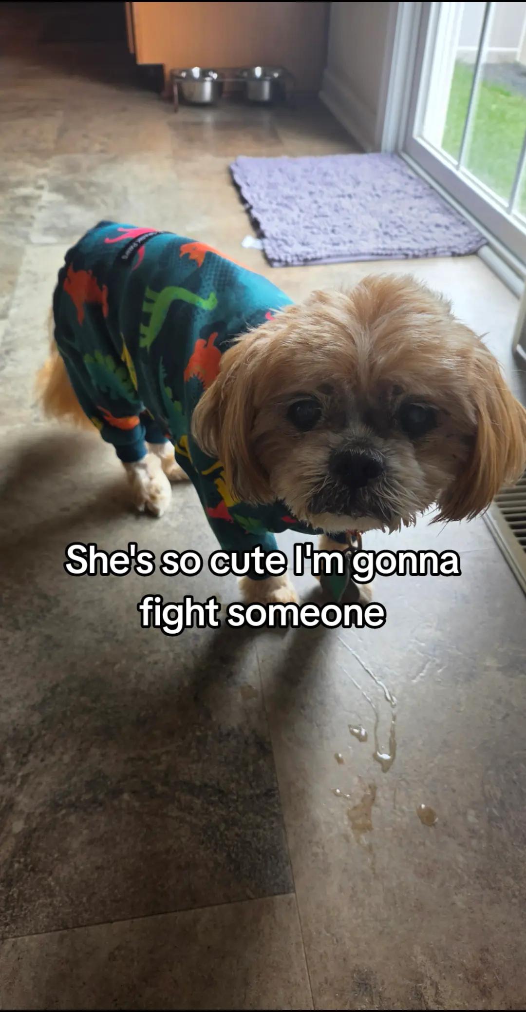 @➳Atlas➰|-/ 🦕𓆩✪𓆪⁹⁹🌹