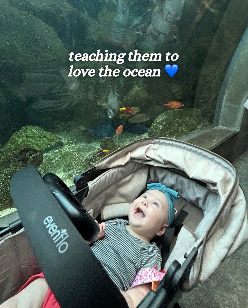 @The Florida Aquarium