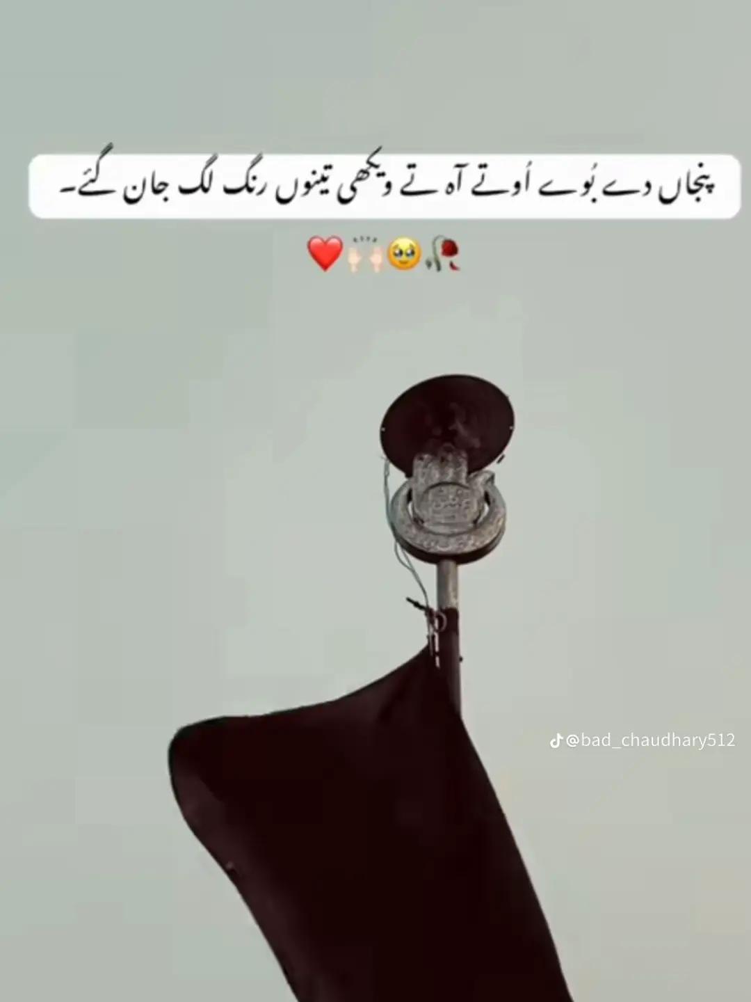 @❤️🩹CHOTA_MALIK👀