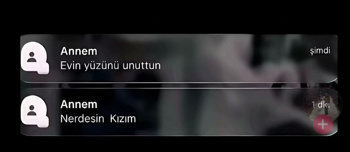 @โจ๐๐๐๐๐ ๐๐๐๐ โจ
