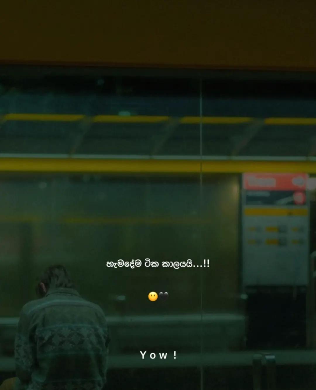 @ᴹᴿD⃠සෙනුවᎧᎮ D⃠᭄