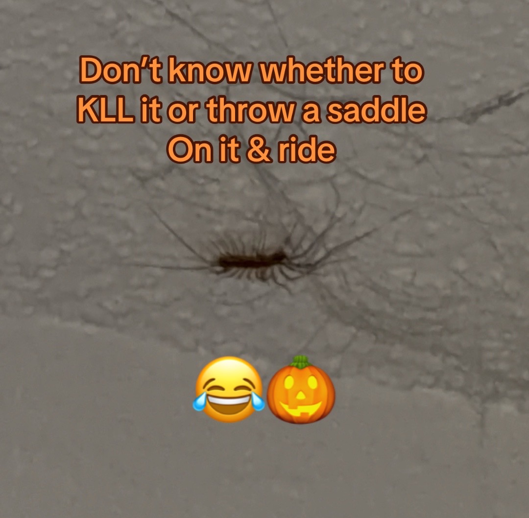 @DancingKaraokeMamacita