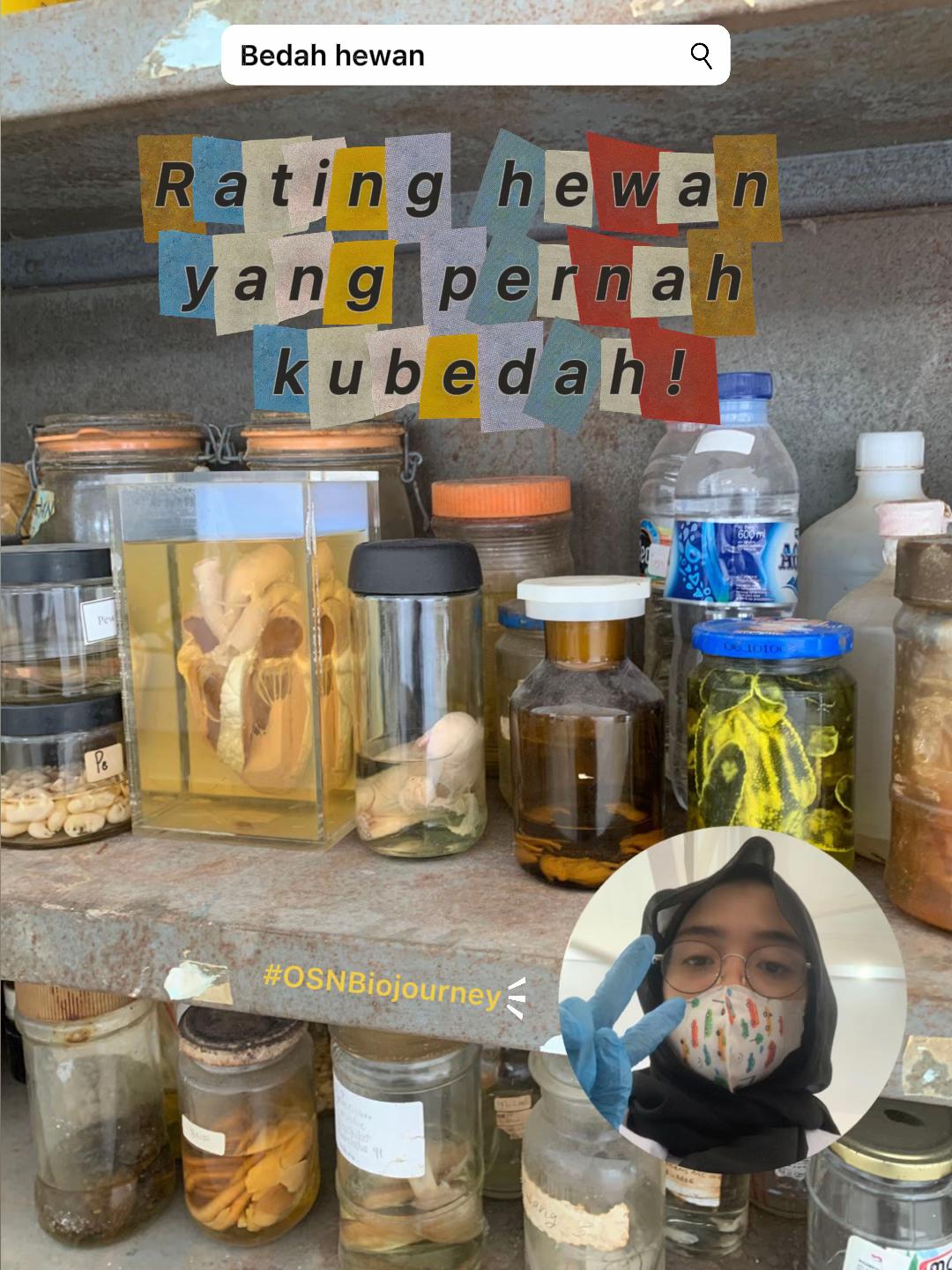 @sheikaa‼️