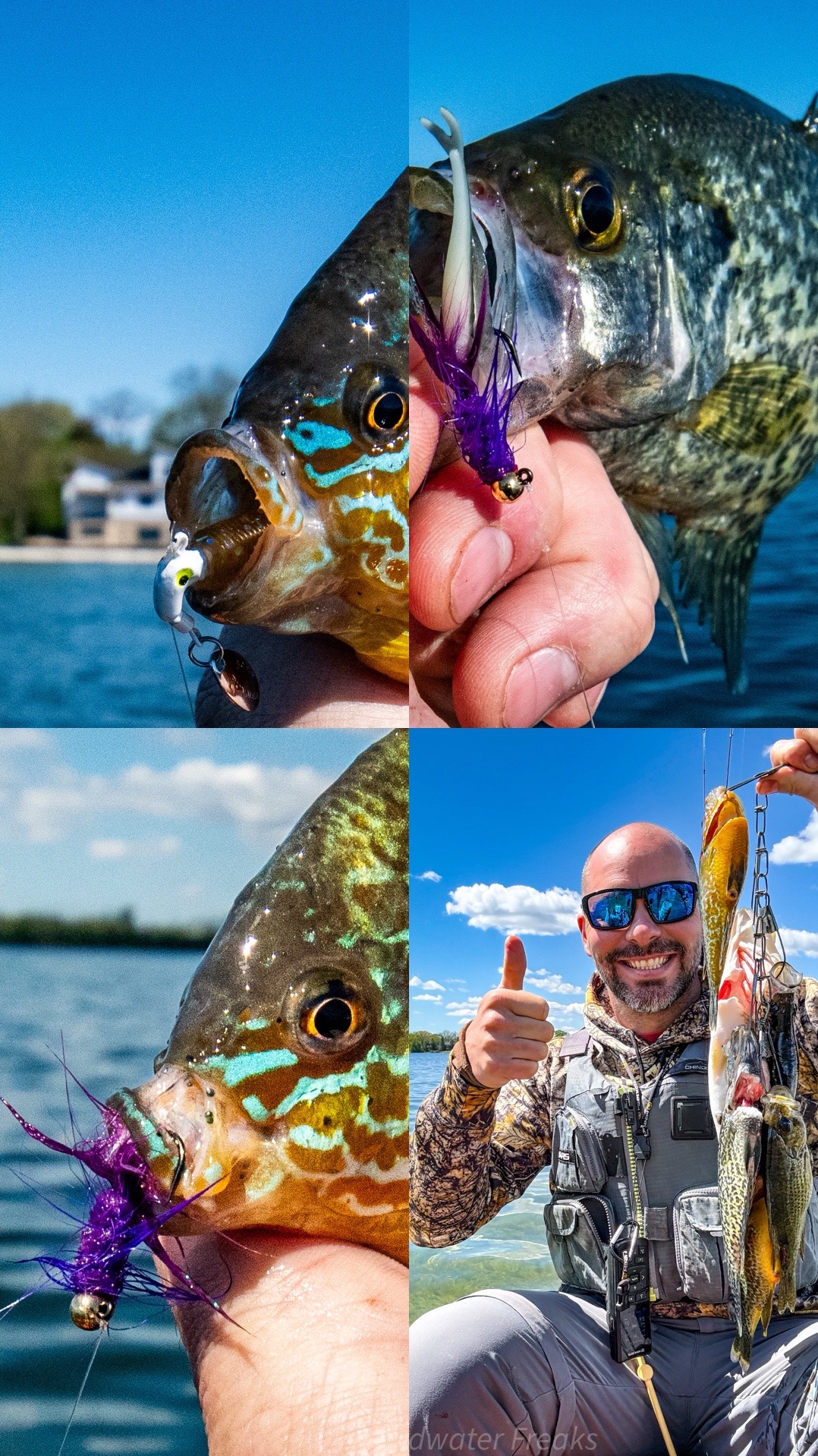 @HARDWATER FREAKS