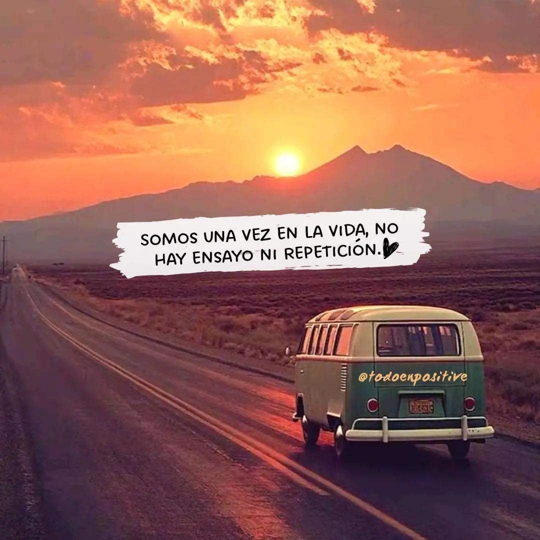 @Todo en Positivo🌻