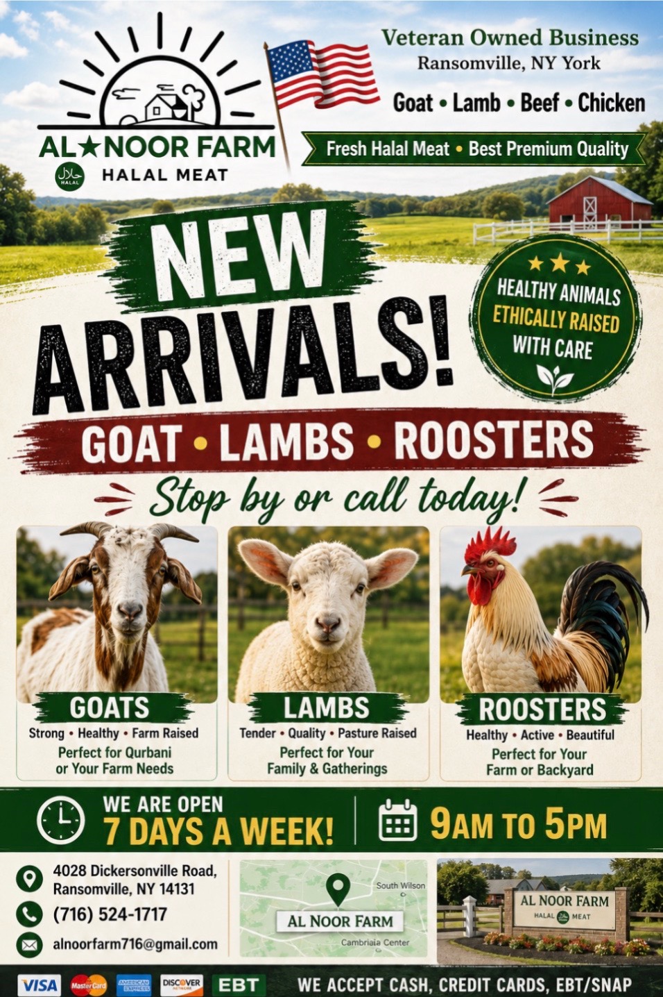 @Al Noor Farm, Lewiston N.Y.