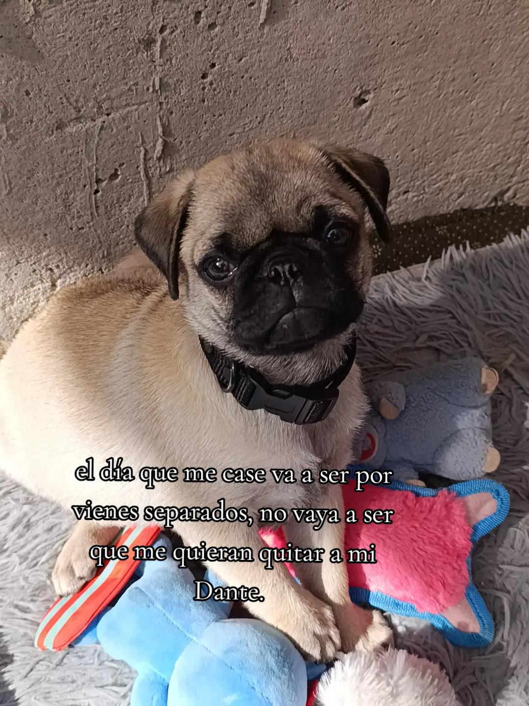 @✨Viri✨