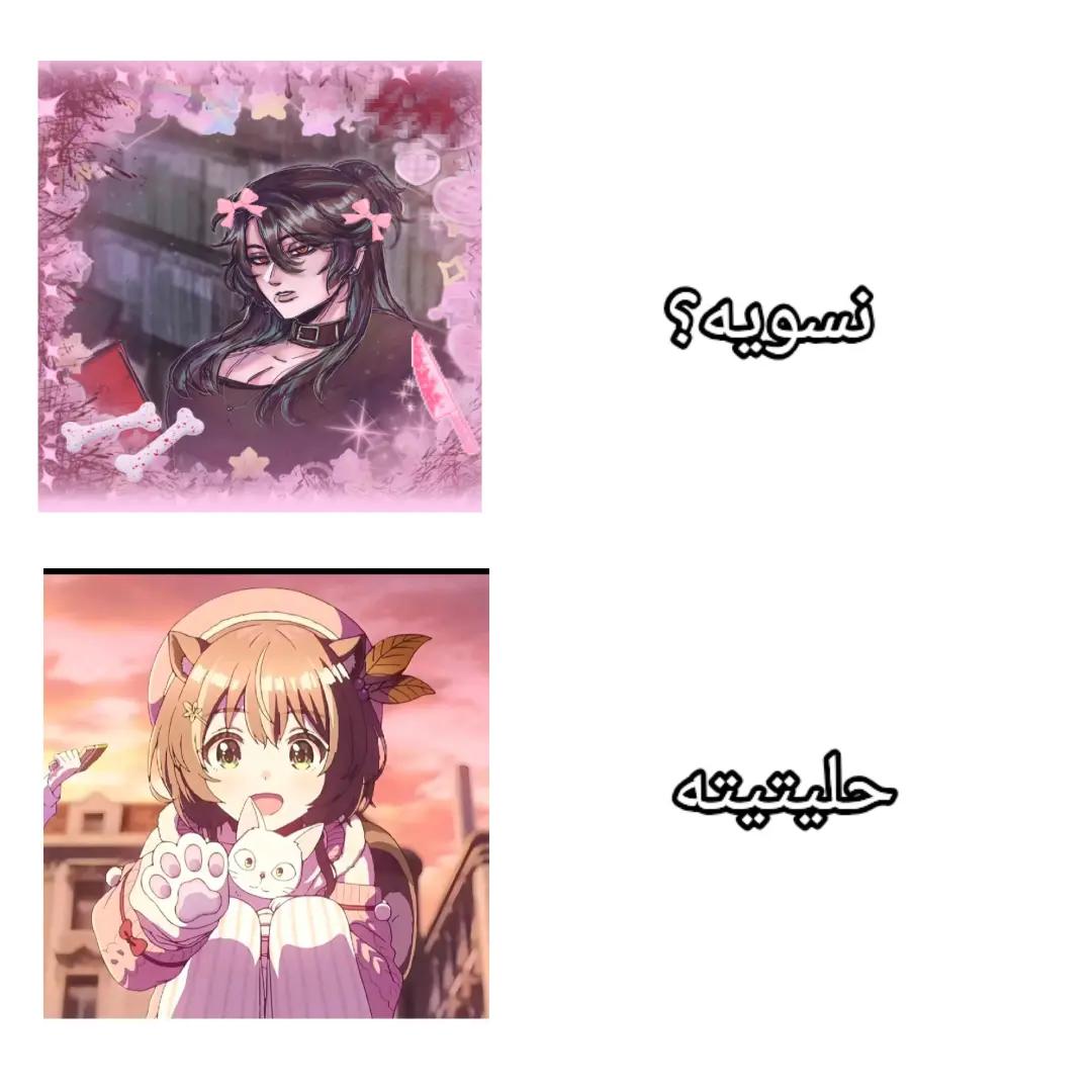 @🪷𝑨mal≽^&bull; ˕ &bull; ྀི≼🍵