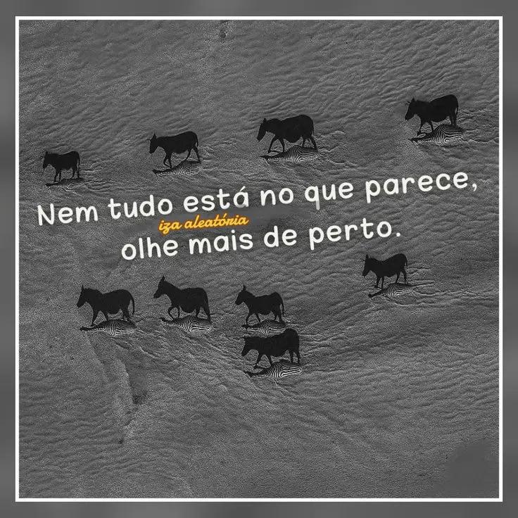 @frases aleatória.