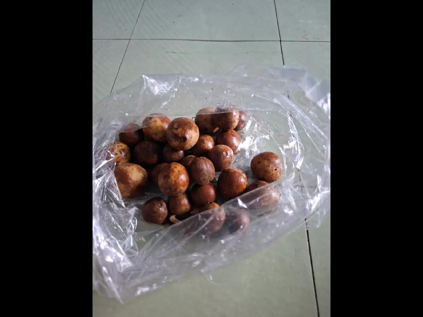@ริคกี้