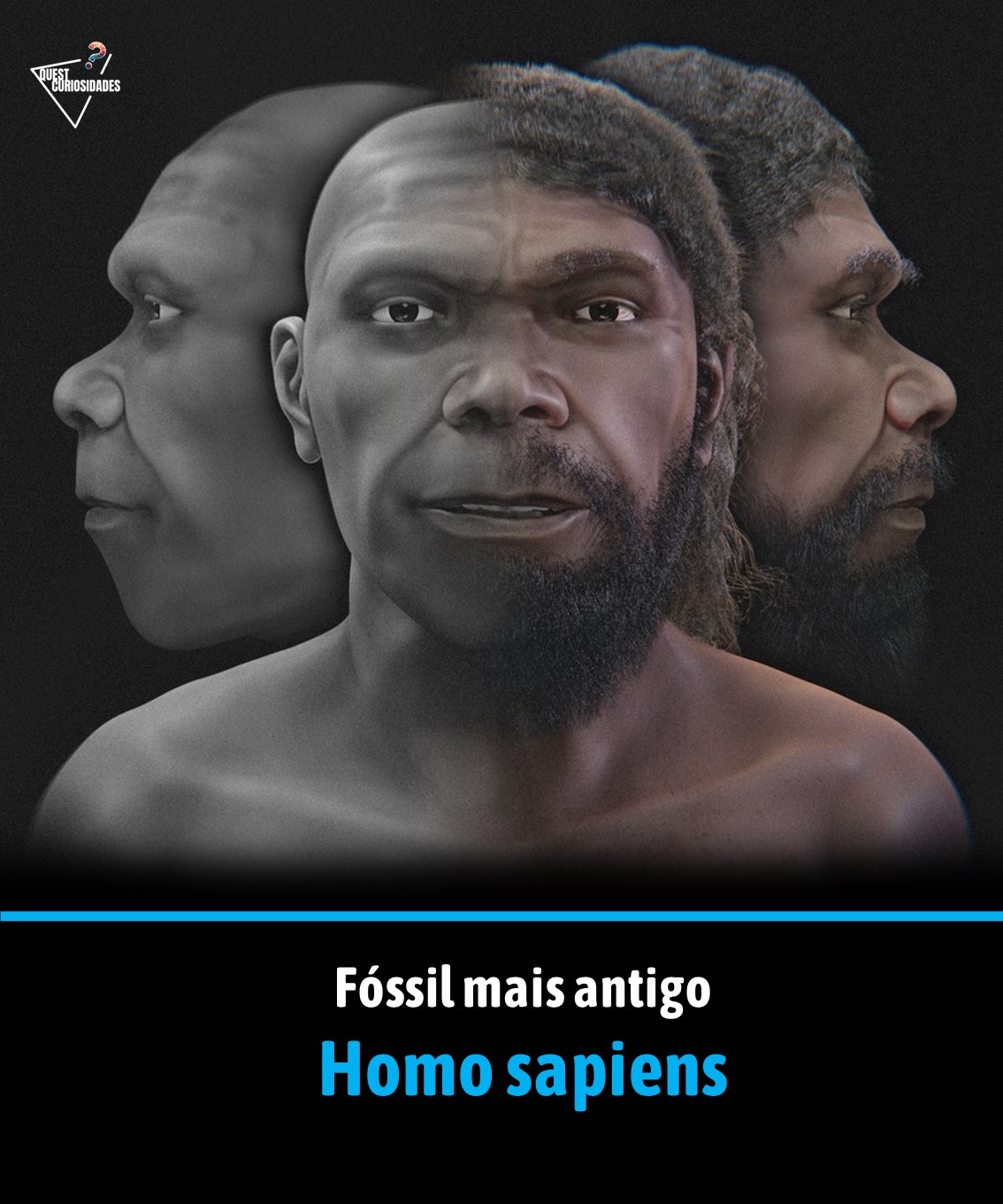 @Quest Curiosidades