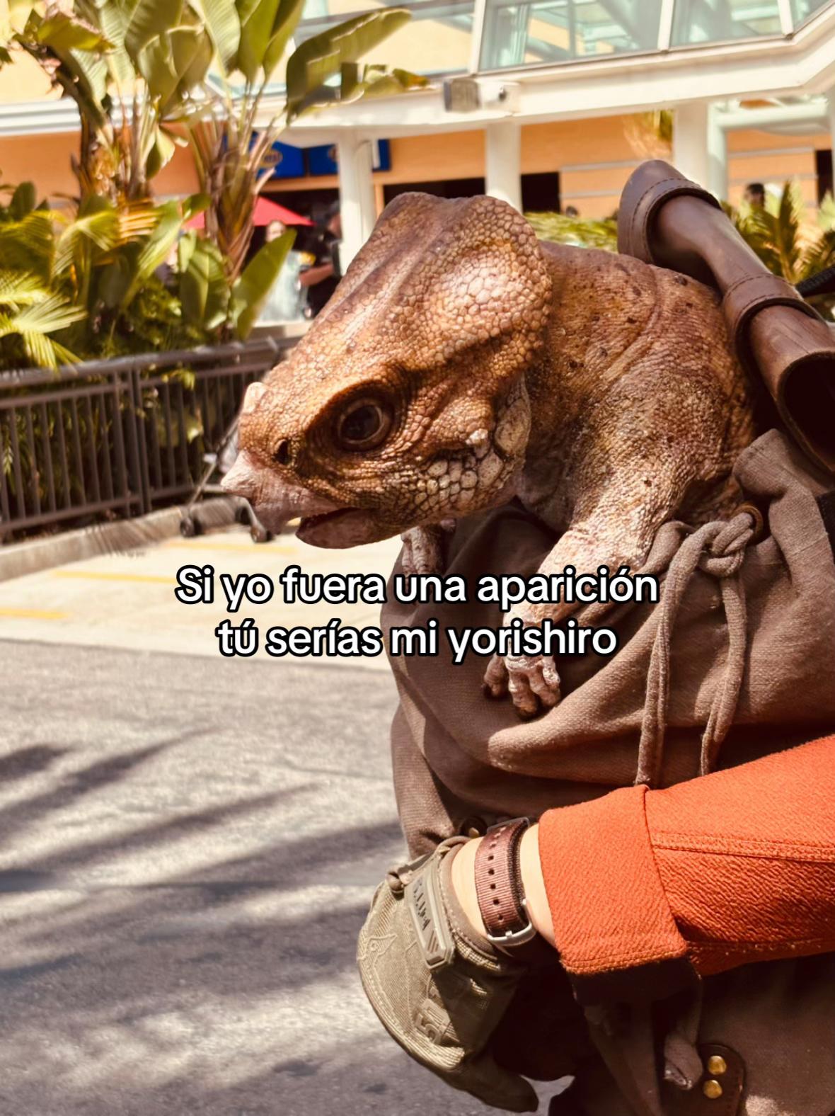 @Kei🏹