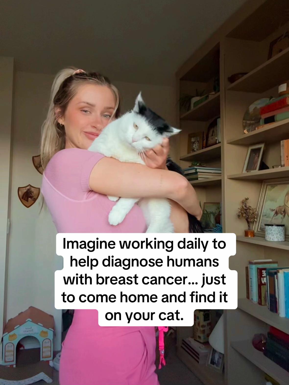 @poppytherescuecat_