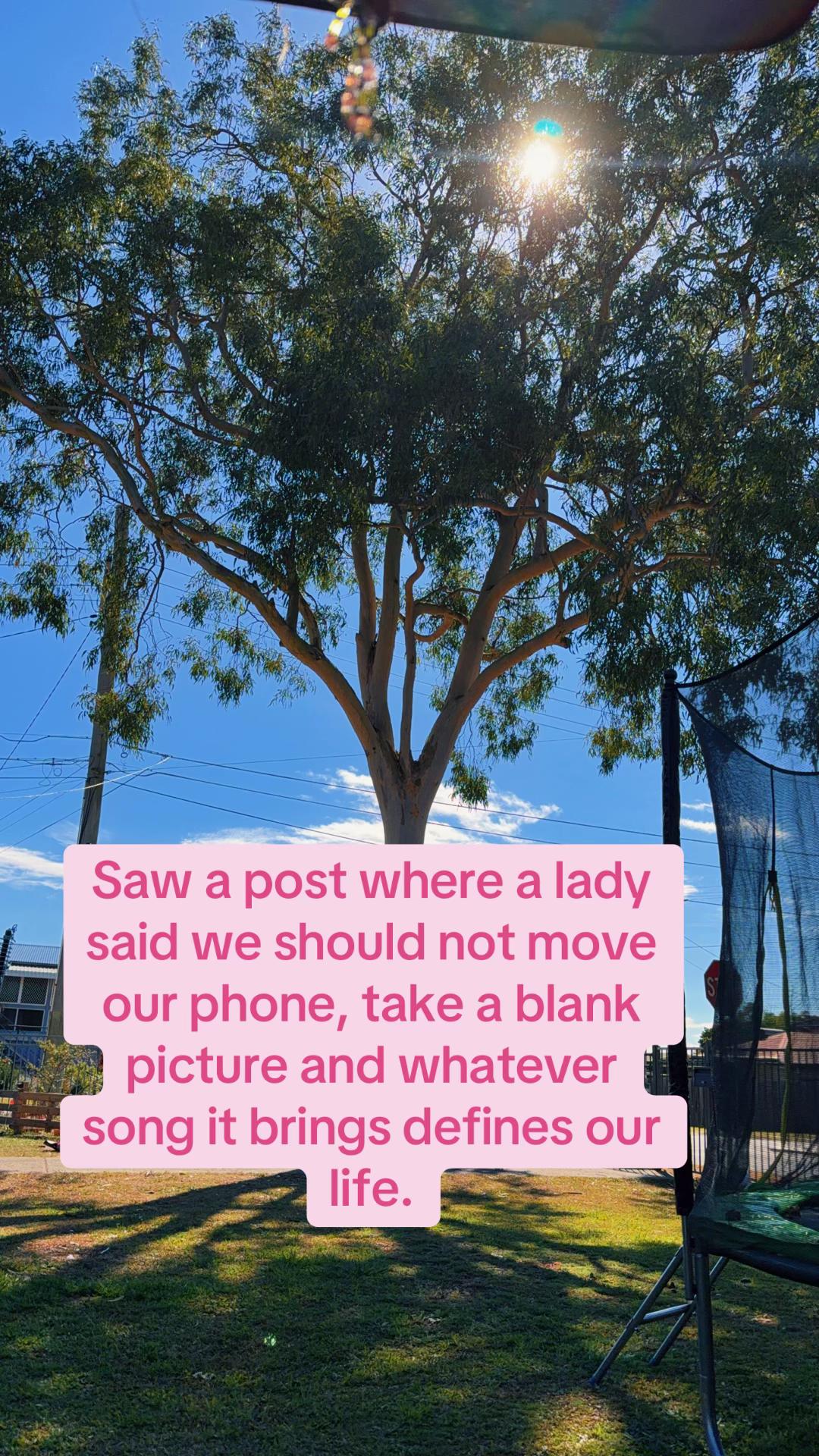 @Princess