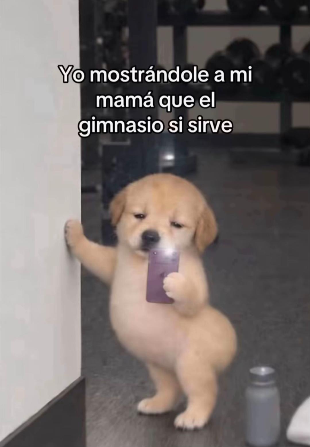 @Rodrigo