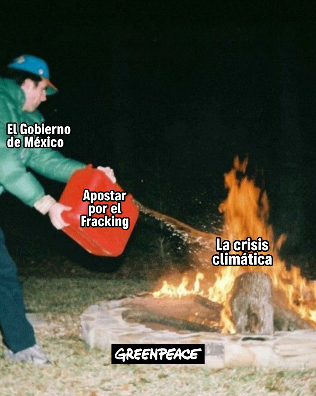 @Greenpeace México
