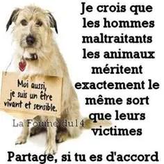 @Marie 👩&zwj;🦳 et Jolicoeur🐶🐾