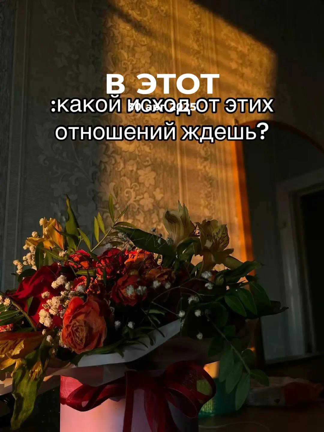 @🌸Алина Алексеевна🌸