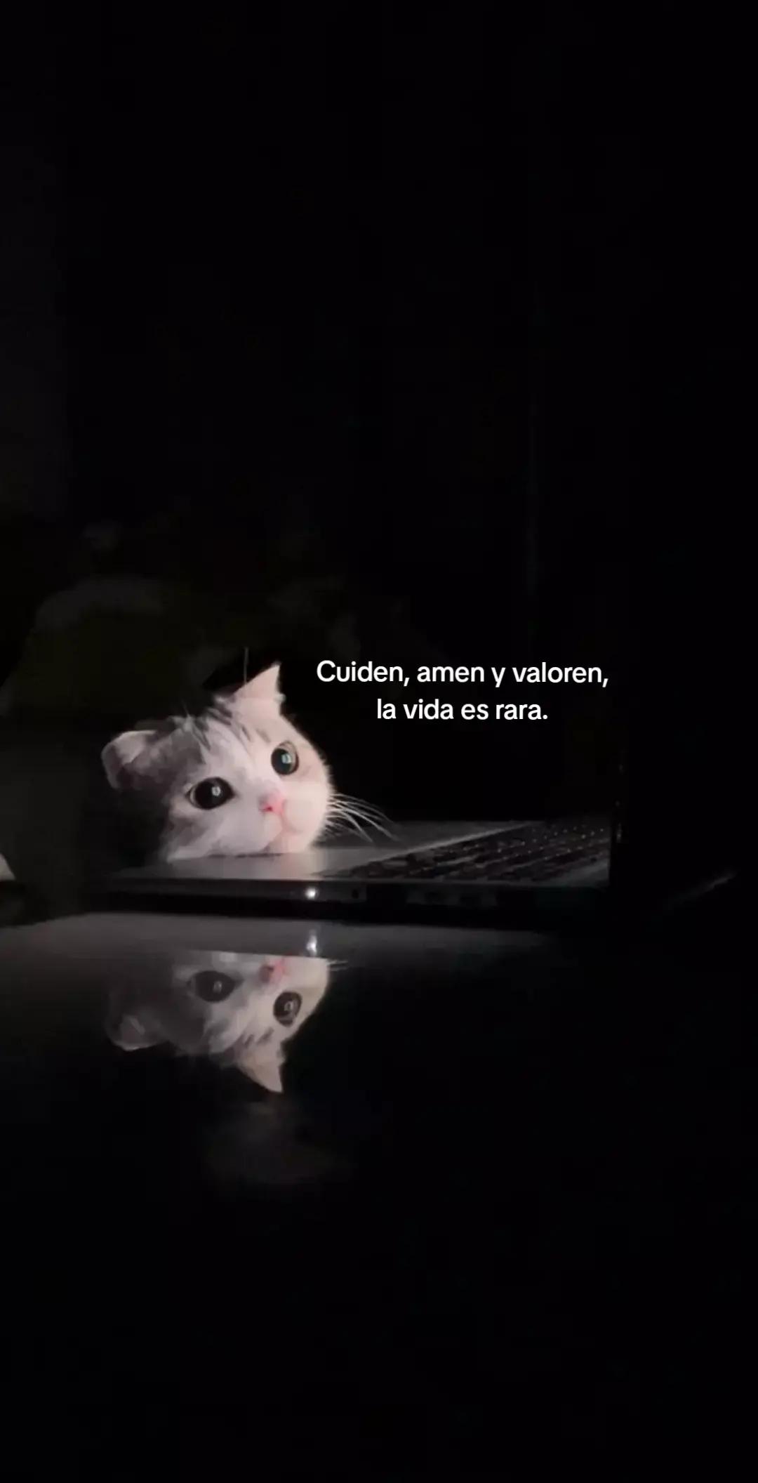@ɪᴍᴘᴇʀꜰᴇᴄᴛᴏᴳᵀ࣪