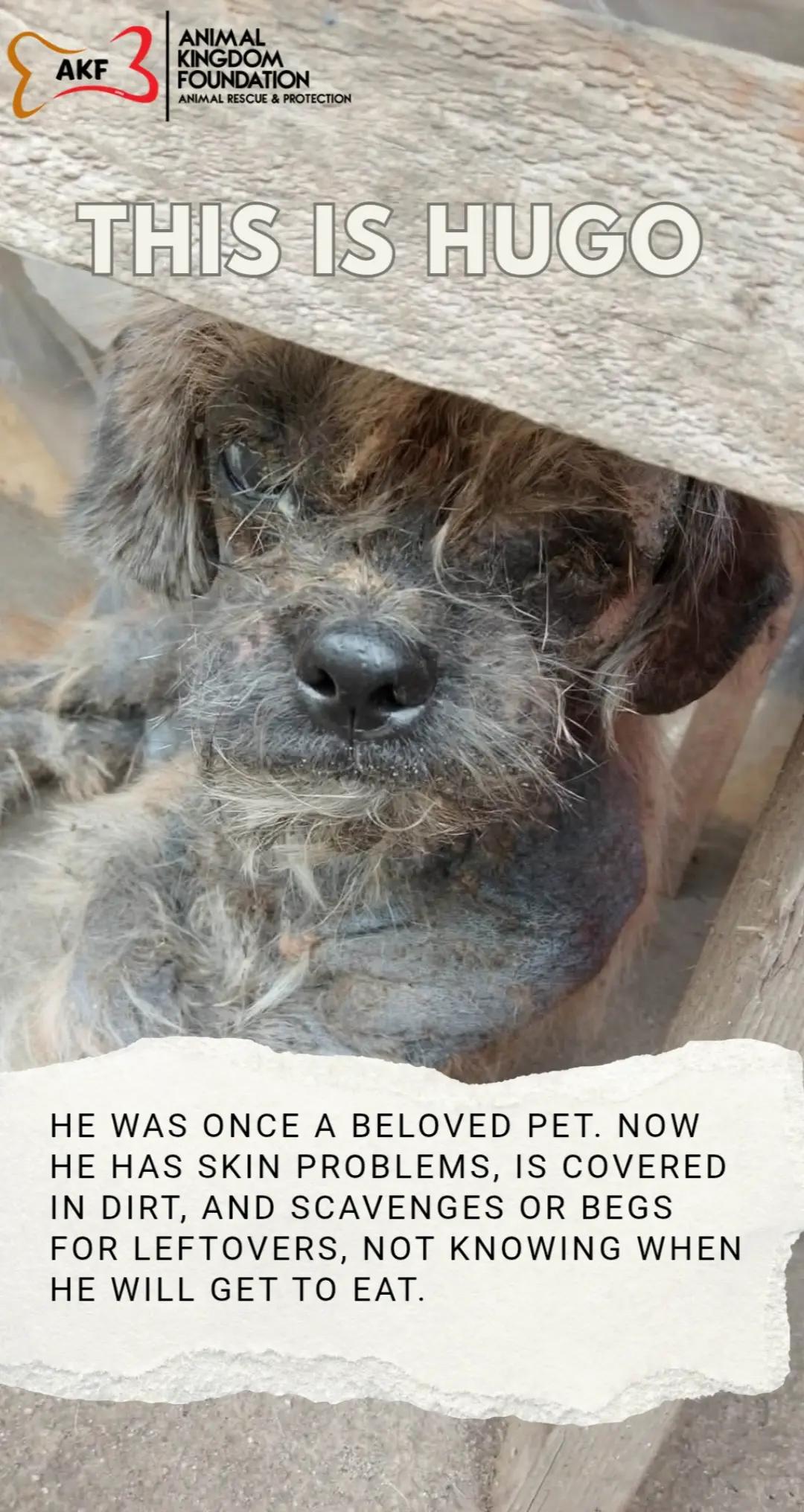 @AnimalKingdomFoundation