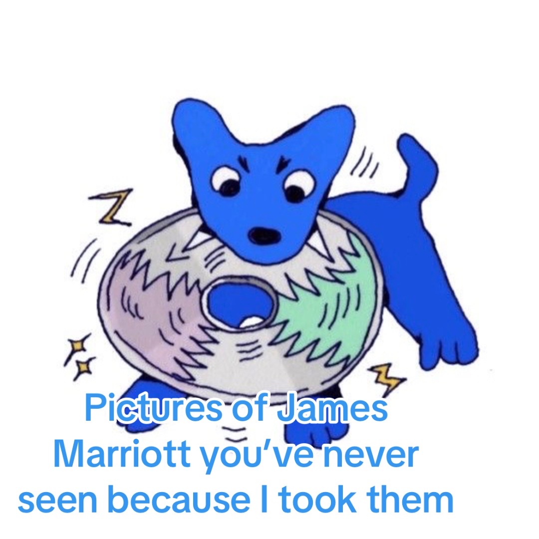@๐โ๏ธ