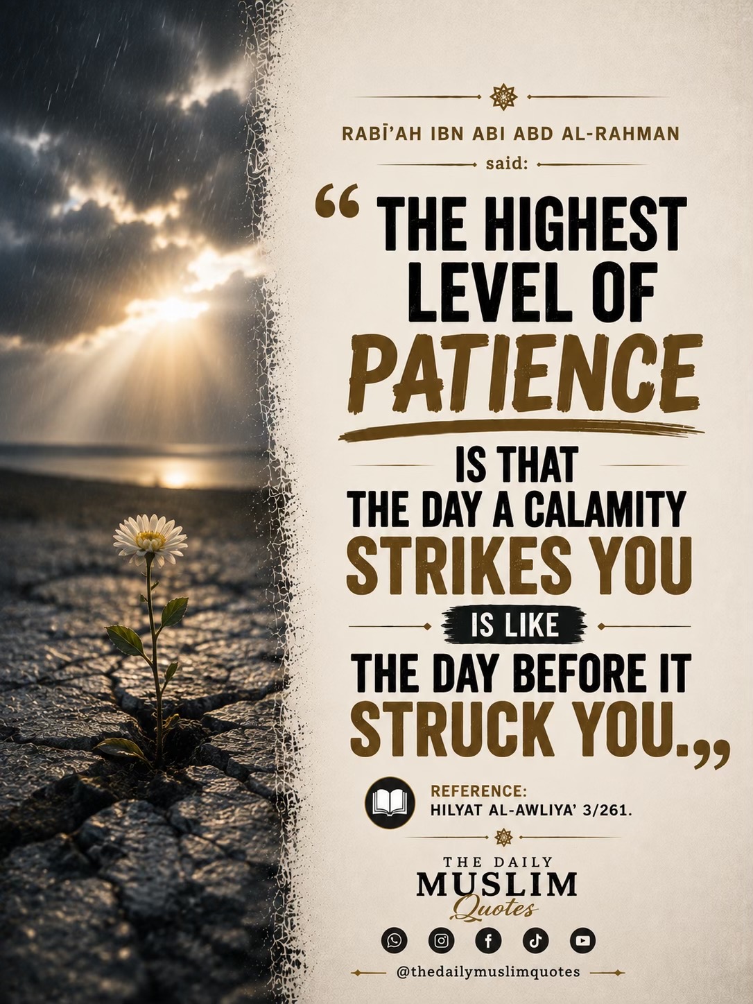 @thedailymuslimquotes
