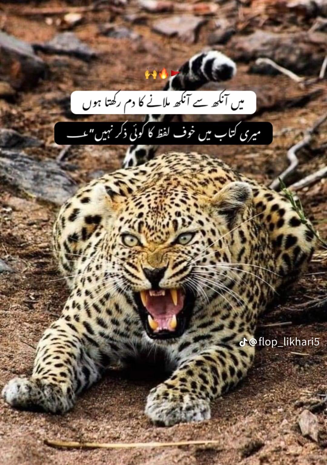 @&hearts;️ Kamran yousaf ❤️
