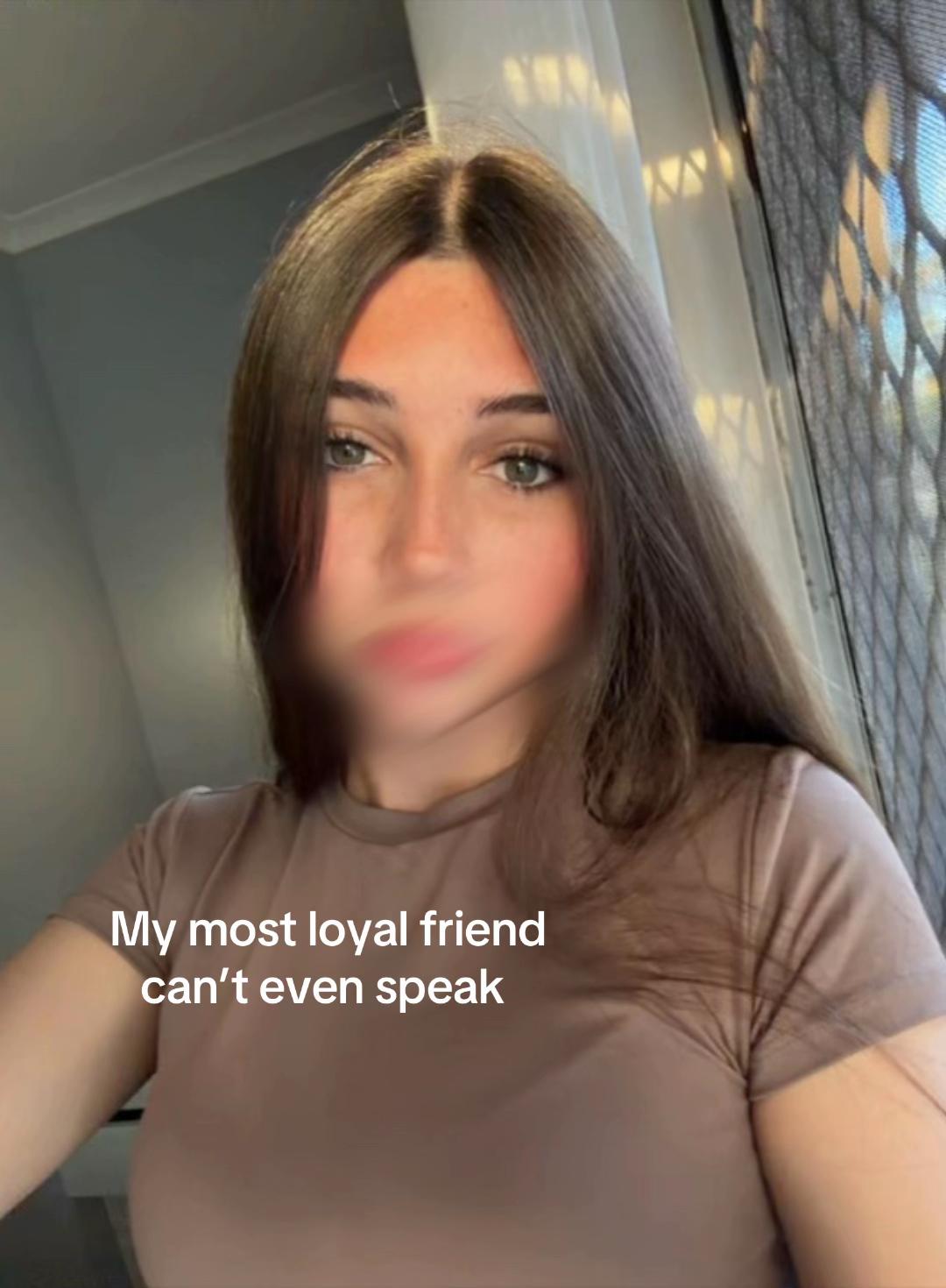 @🐨