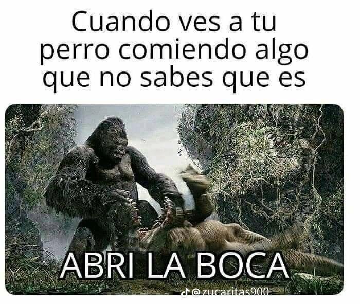 @Manguito