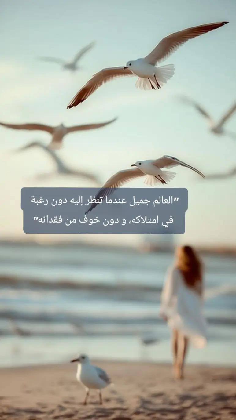 @Alyaa Reads📚💜