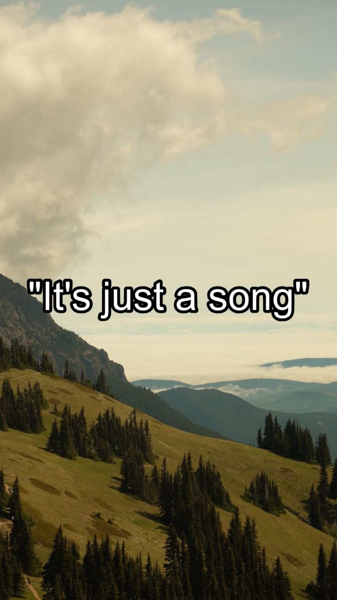 @CountryMusicEnjoyer🤠