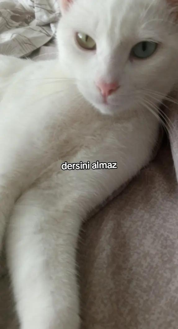 @๐ฑ๐ฒ๐น๐ฒ๐ป๐ฎ๐๐ค๐