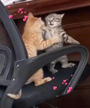 @🎧🎶✨️ ElCaTPana✨️🎶🤙