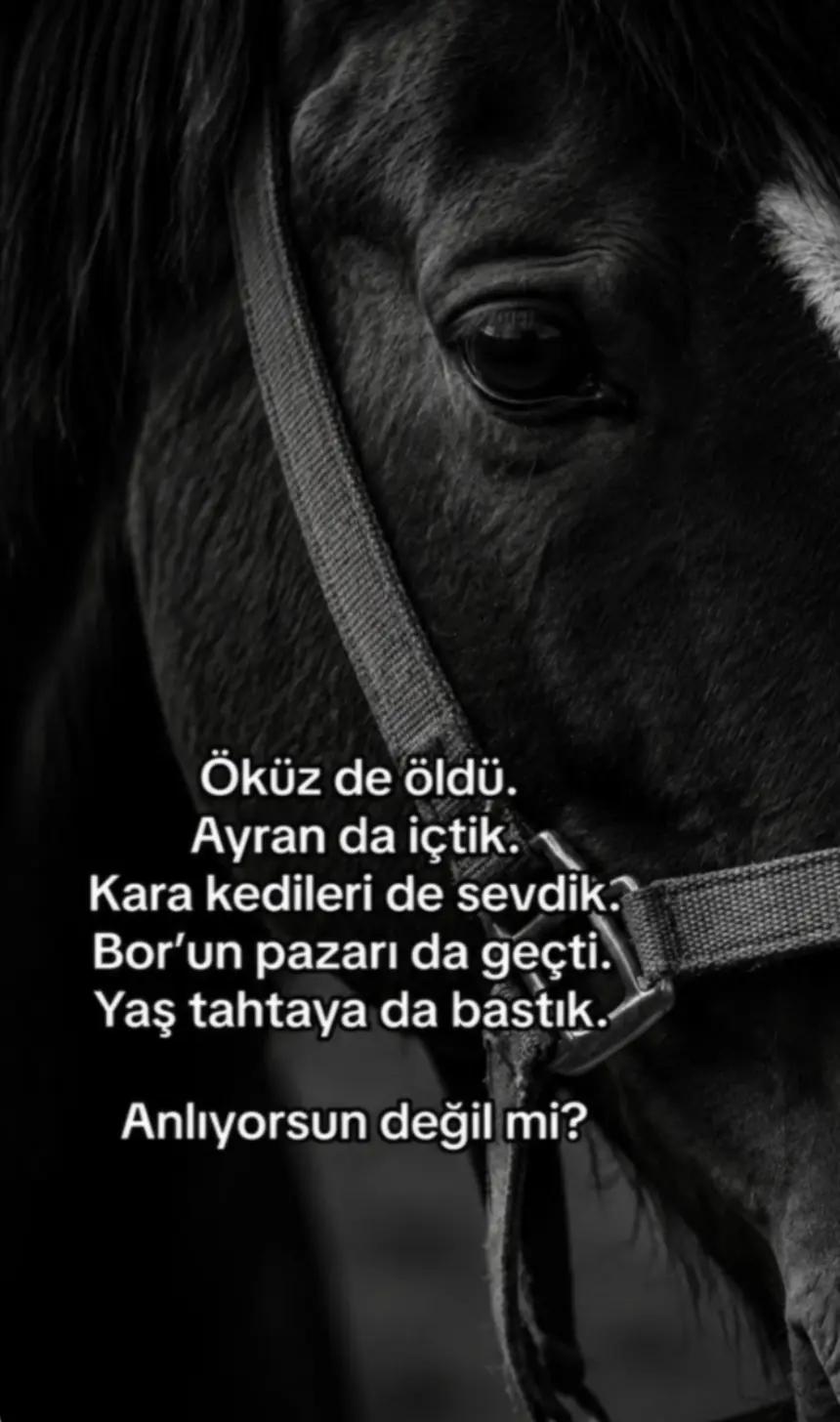 @barıs_arslan46