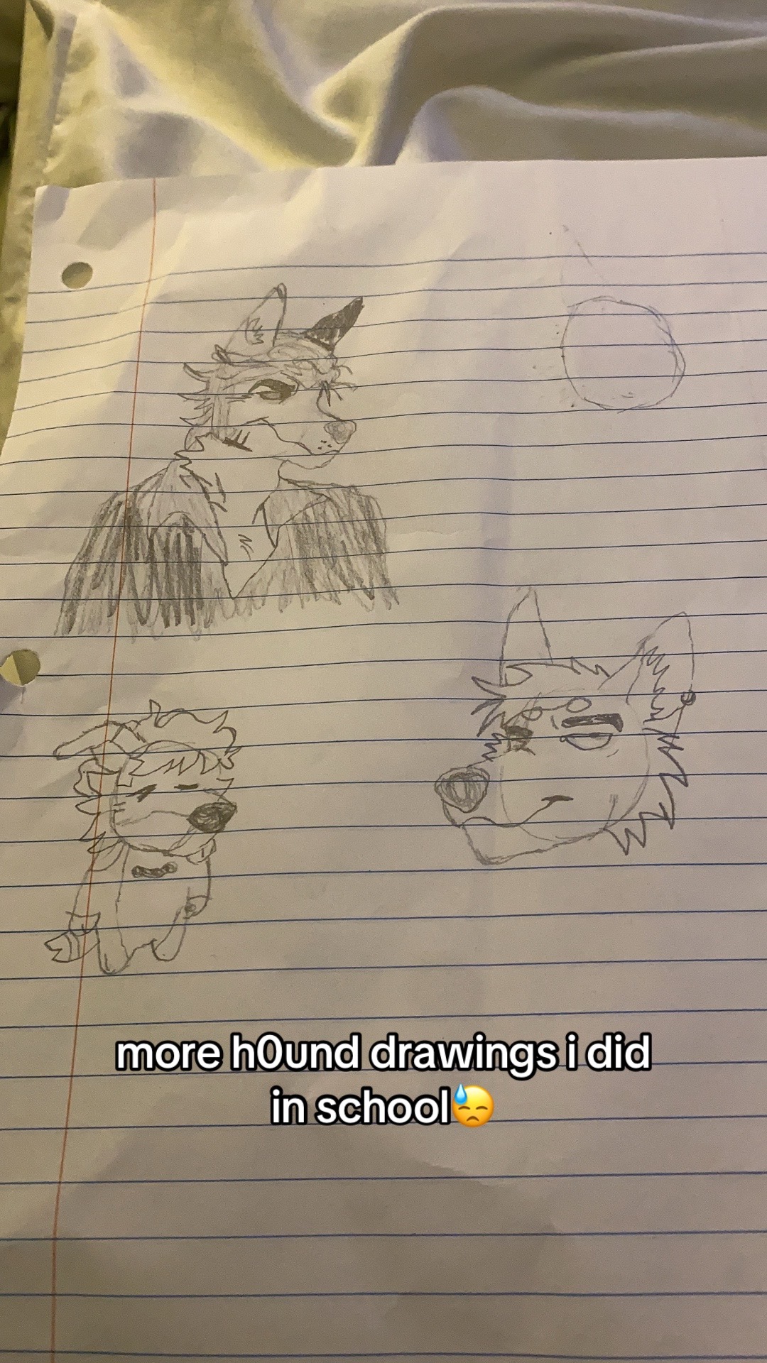 @meowfredo