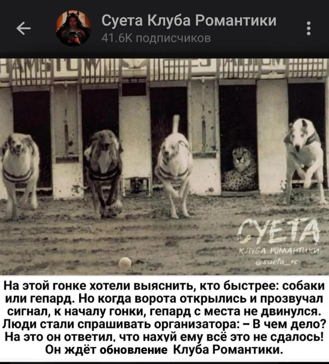 @ткг: Суета Клуба Романтики