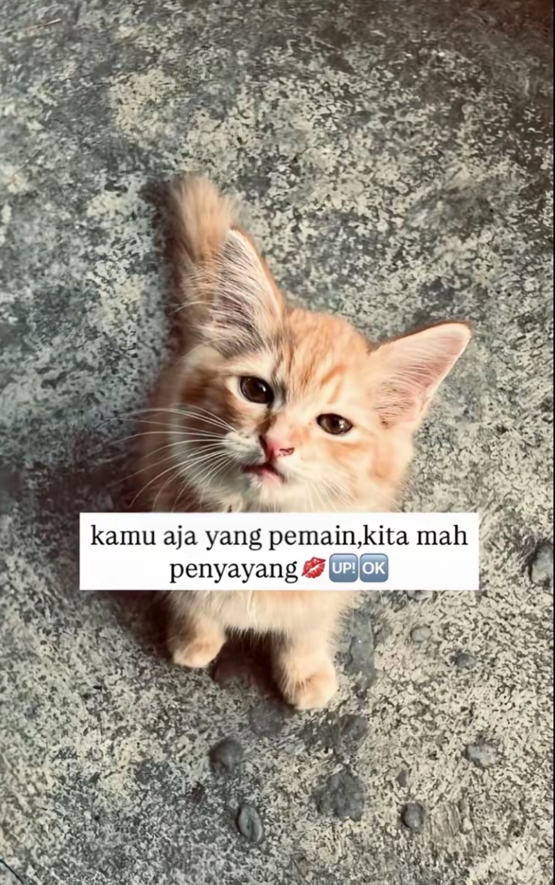 @kela💫