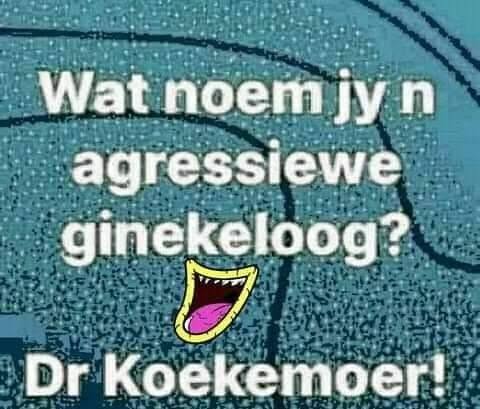 @Sommer net ek