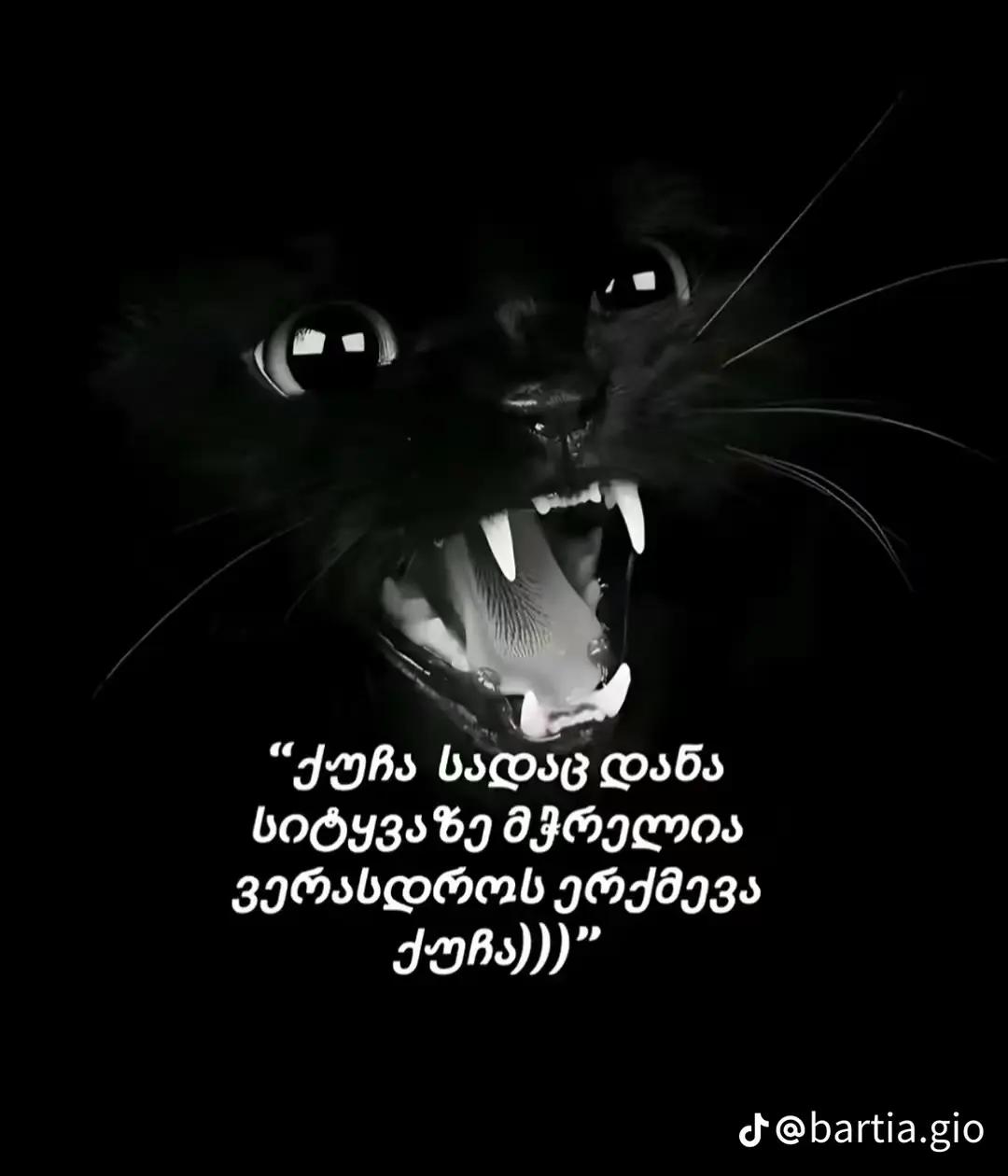 @MALKA777