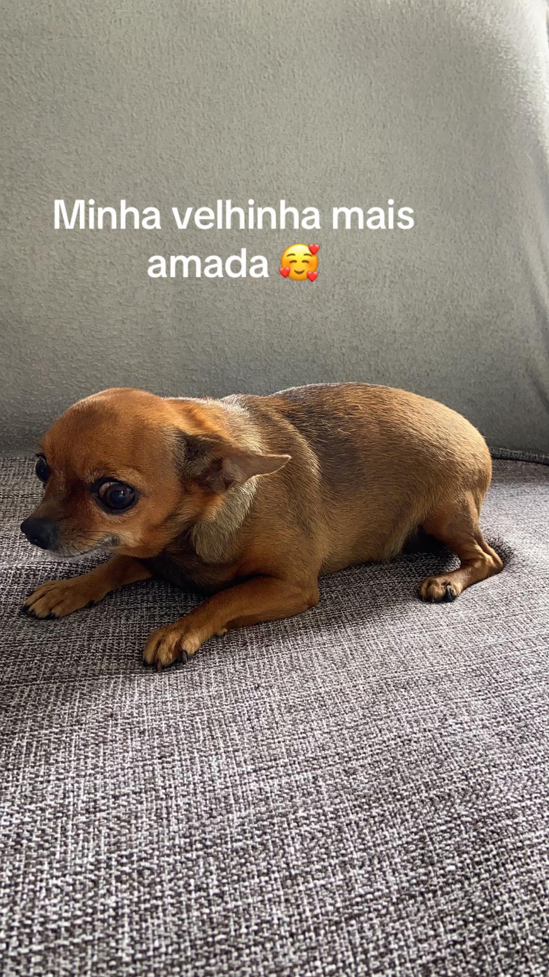 @Preta_🩷💙
