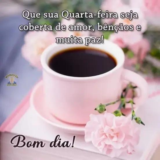@José carlos