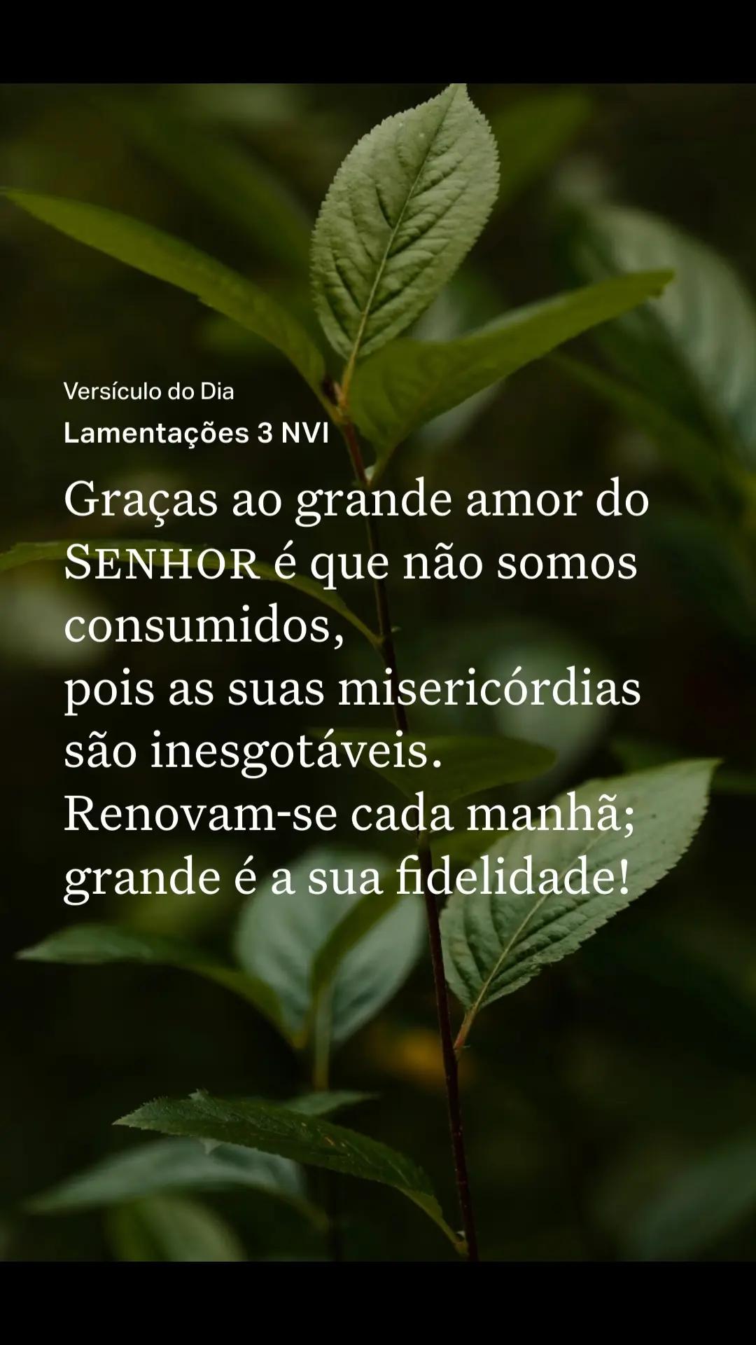 @profeciadejesus
